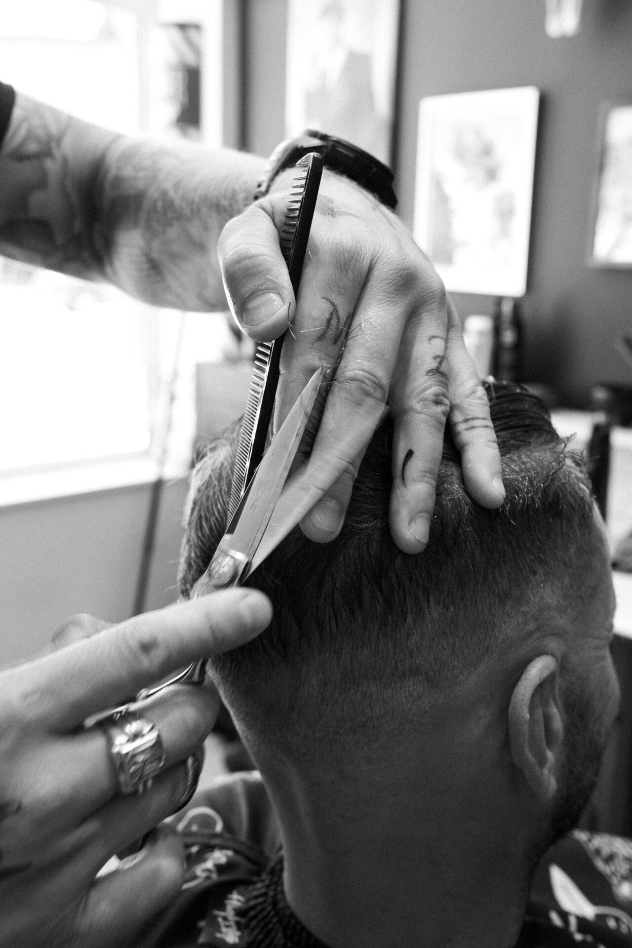 Barbershop The Stallion